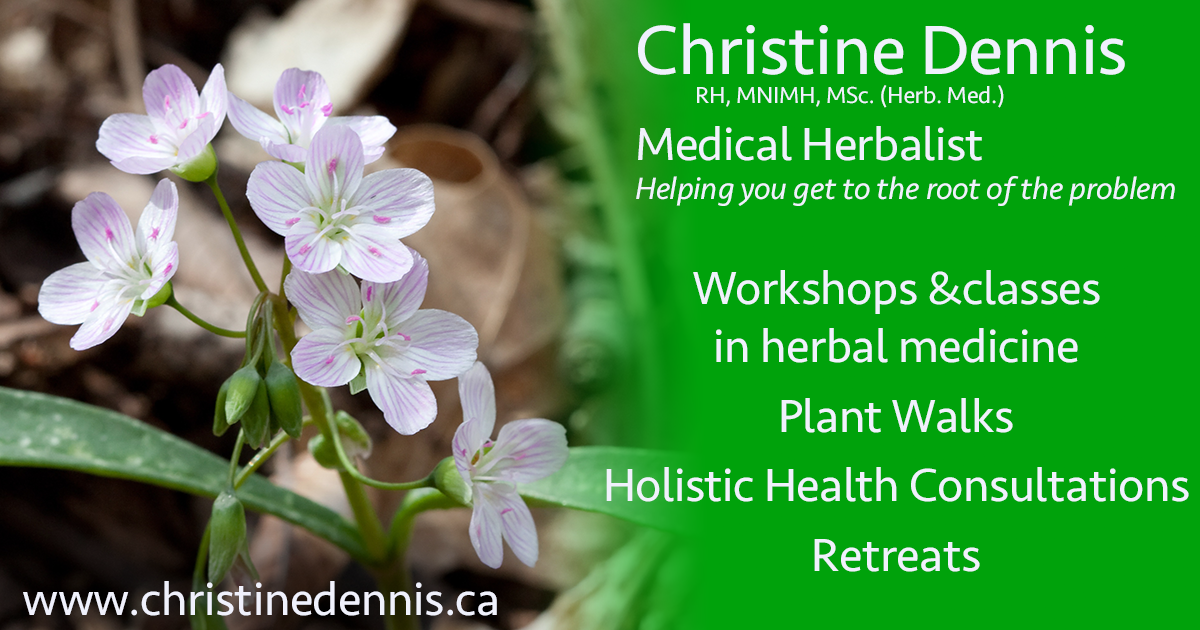 how to become a registered herbalist in ontario